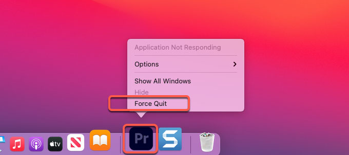quit Adobe Premiere Pro