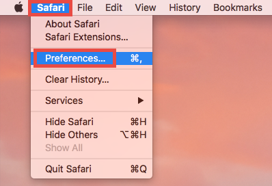 Delete Kaspersky Password Manager extension in Safari - osxuninstaller (1)