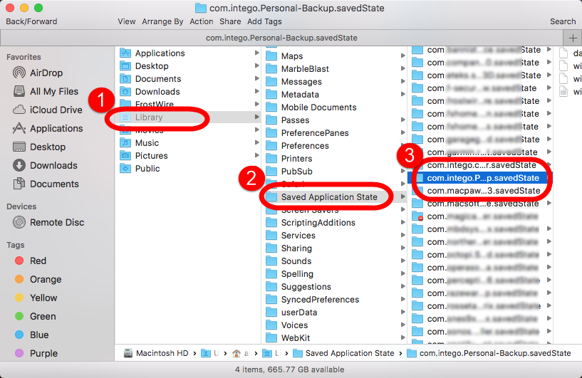 saved application state